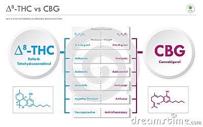 âˆ†8-THC vs CBG, Delta 8 Tetrahydrocannabinol vs Cannabigerol horizontal business infographic Vector Illustration